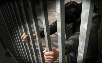 What Is Habeas Corpus in Immigration Law?